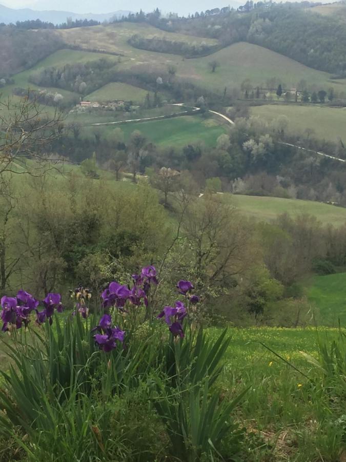 Green B&B Urbino Ca Del Vento Exterior photo
