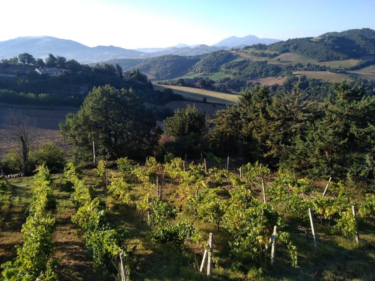 Green B&B Urbino Ca Del Vento Exterior photo